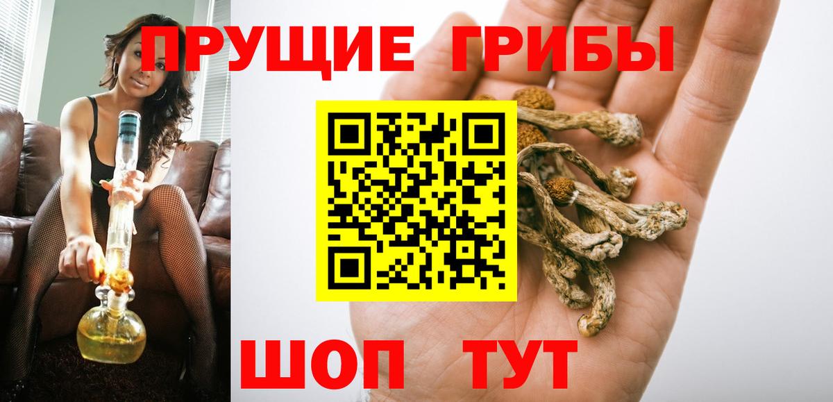 Псилоцибиновые грибы Magic Shrooms  Вход с VPN  Псилоцибиновые грибы MAGIC MUSHROOMS  Дагестанские Огни 